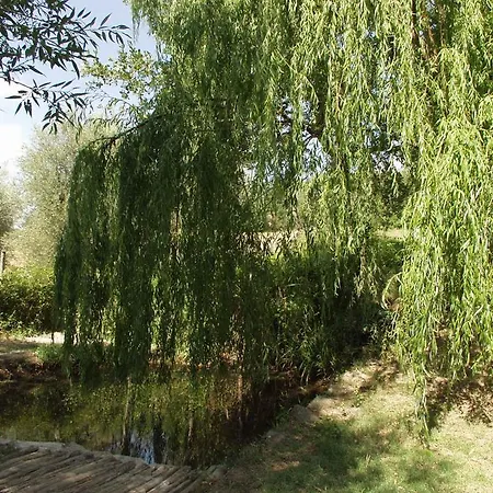 Antico Casale Pozzuolo مزرعة للإقامة *